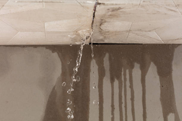 Professional Water Extraction technician working in Mitchell, IL